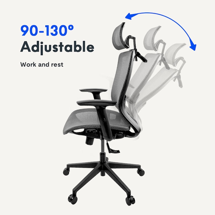 Flexispot oc3b ergonomics shop executive office chair